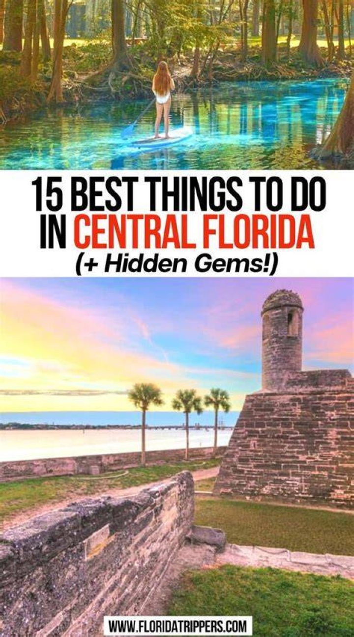 The top 51 Central Florida celebrities ranked. Orlando Sentinel